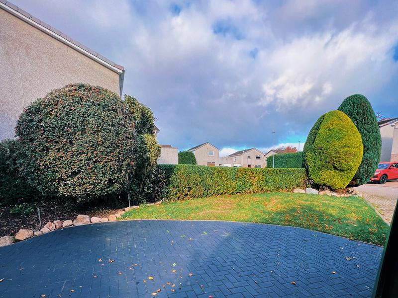 Front garden hedges