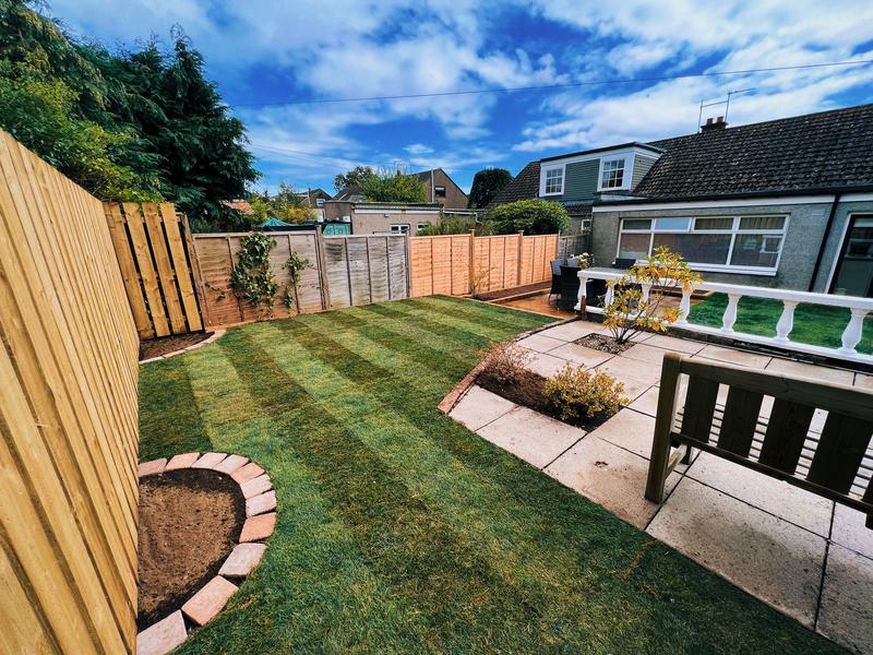 New lawn with striped turf and planting beds